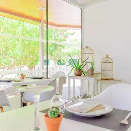 Hyde Park Lane 3* 푸에르토 델 카르멘