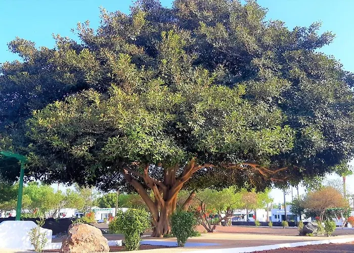 מלון דירות Hyde Park Lane פוארטו דל כרמן