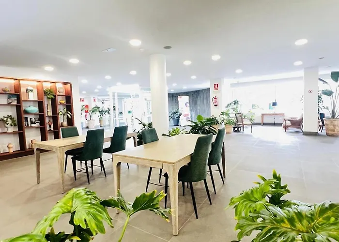 Hyde Park Lane פוארטו דל כרמן