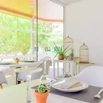 Hyde Park Lane 4* Πουέρτο Ντελ Κάρμεν