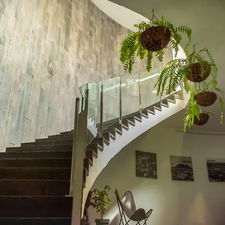 Hyde Park Lane 4* بويرتو ذيل كارمين